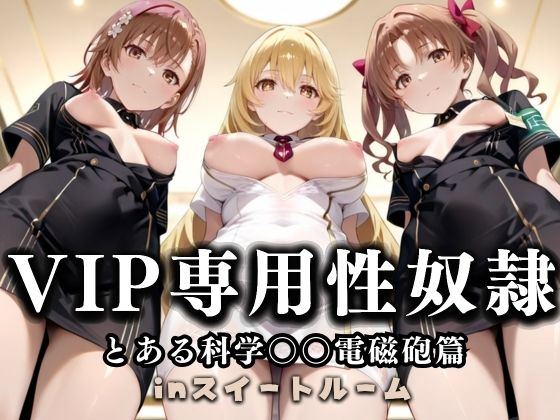 スイートルームVIP専用性処理係──快楽提供ルームサービス。  とある科学の超電磁砲編