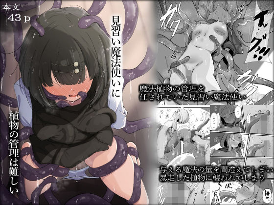 見習い魔法使いに植物の管理は難しい