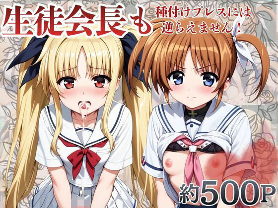 生徒会長も種付けプレスには逆らえません！【●●なのは＆フ○イト・テスタロッサ編】
