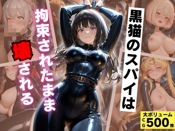 黒猫のスパイは拘束されたまま壊される